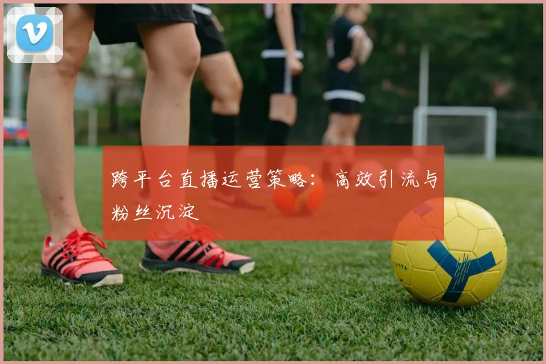 跨平台直播运营策略：高效引流与粉丝沉淀