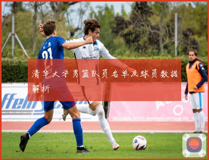 清华大学男篮队员名单及球员数据解析